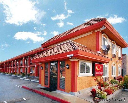 Driftwood Motel Santa Clara Dış mekan fotoğraf